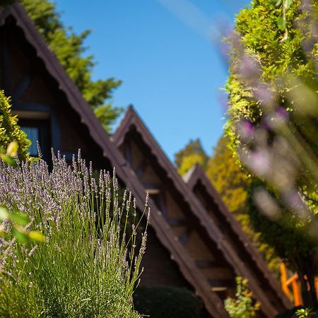 Cabanas Antilhue San Martin de los Andes Ngoại thất bức ảnh