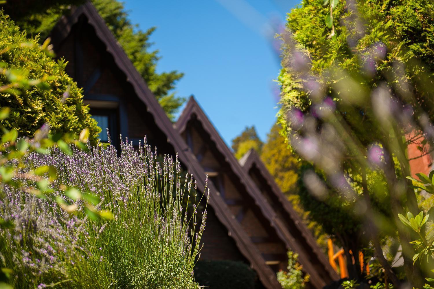 Cabanas Antilhue San Martin de los Andes Ngoại thất bức ảnh